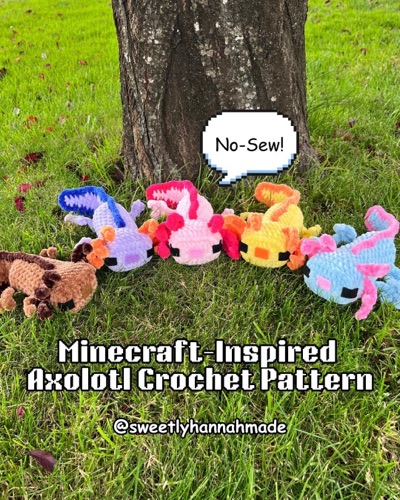 Minecraft axolotl pattern